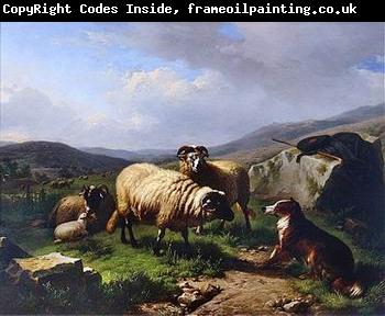 unknow artist Sheep 113